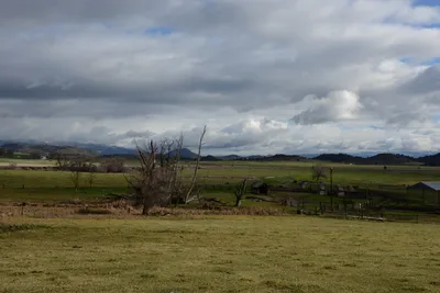 DSC_1007 (Large).JPG